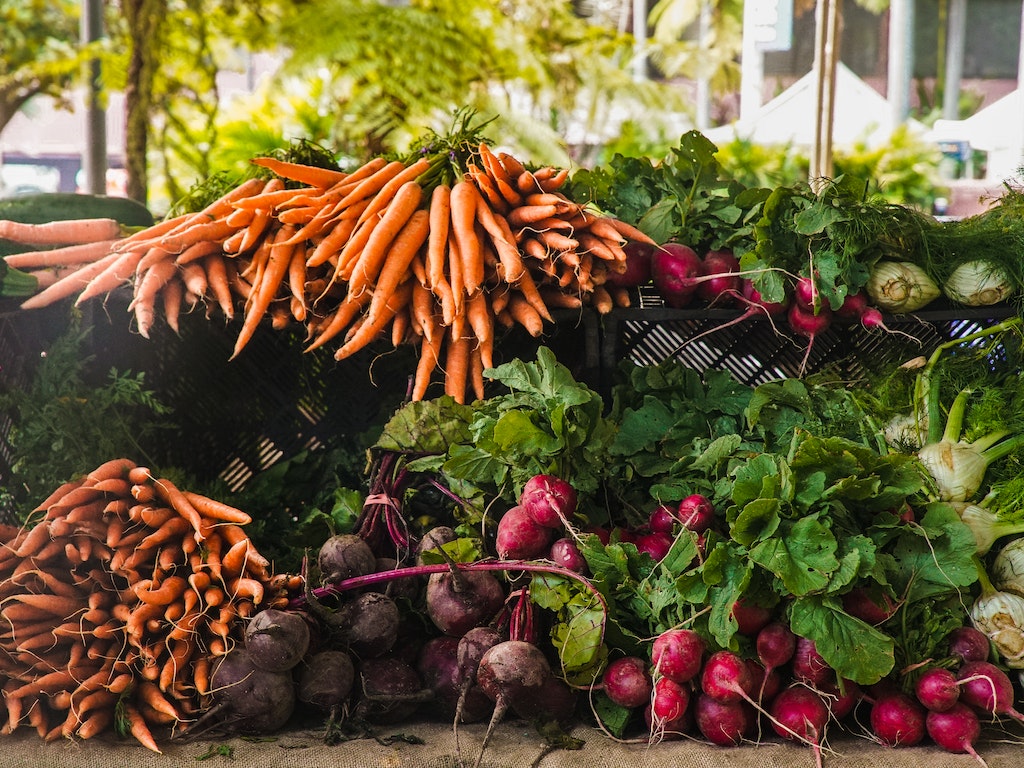 Easiest Vegetables to Grow at Home